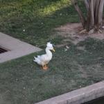 OTRA2014_0191 (August 25, 2014)